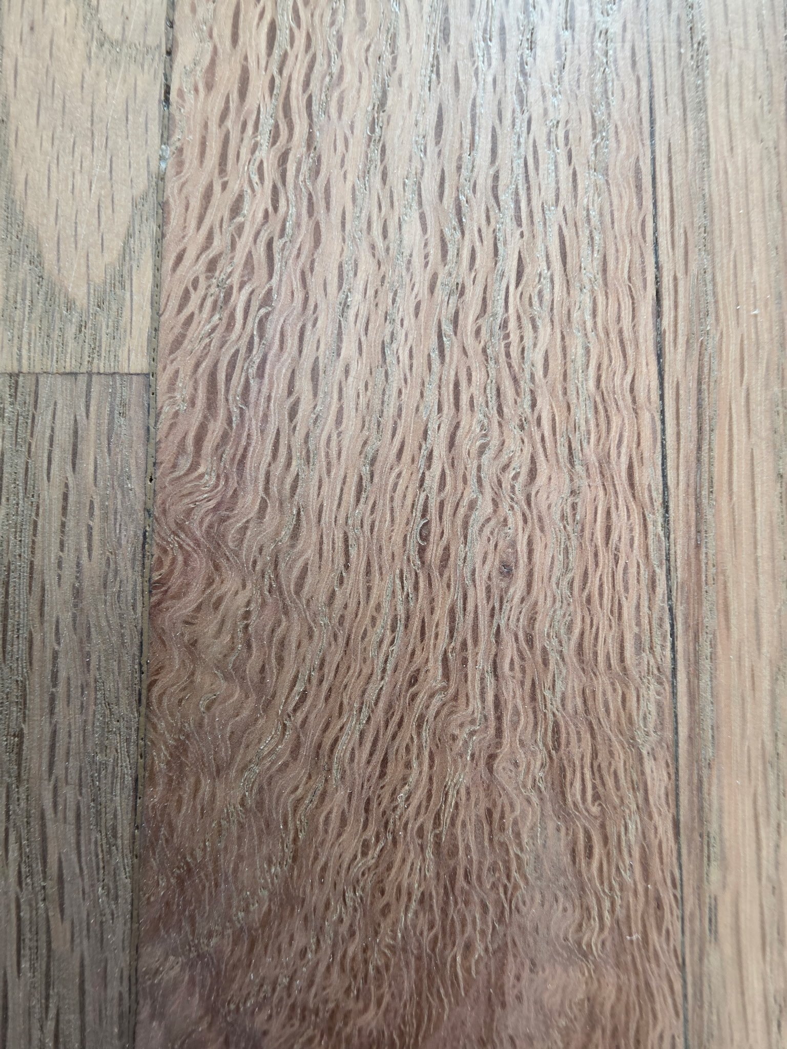 Red oak hardwood flooring installation in longmont home